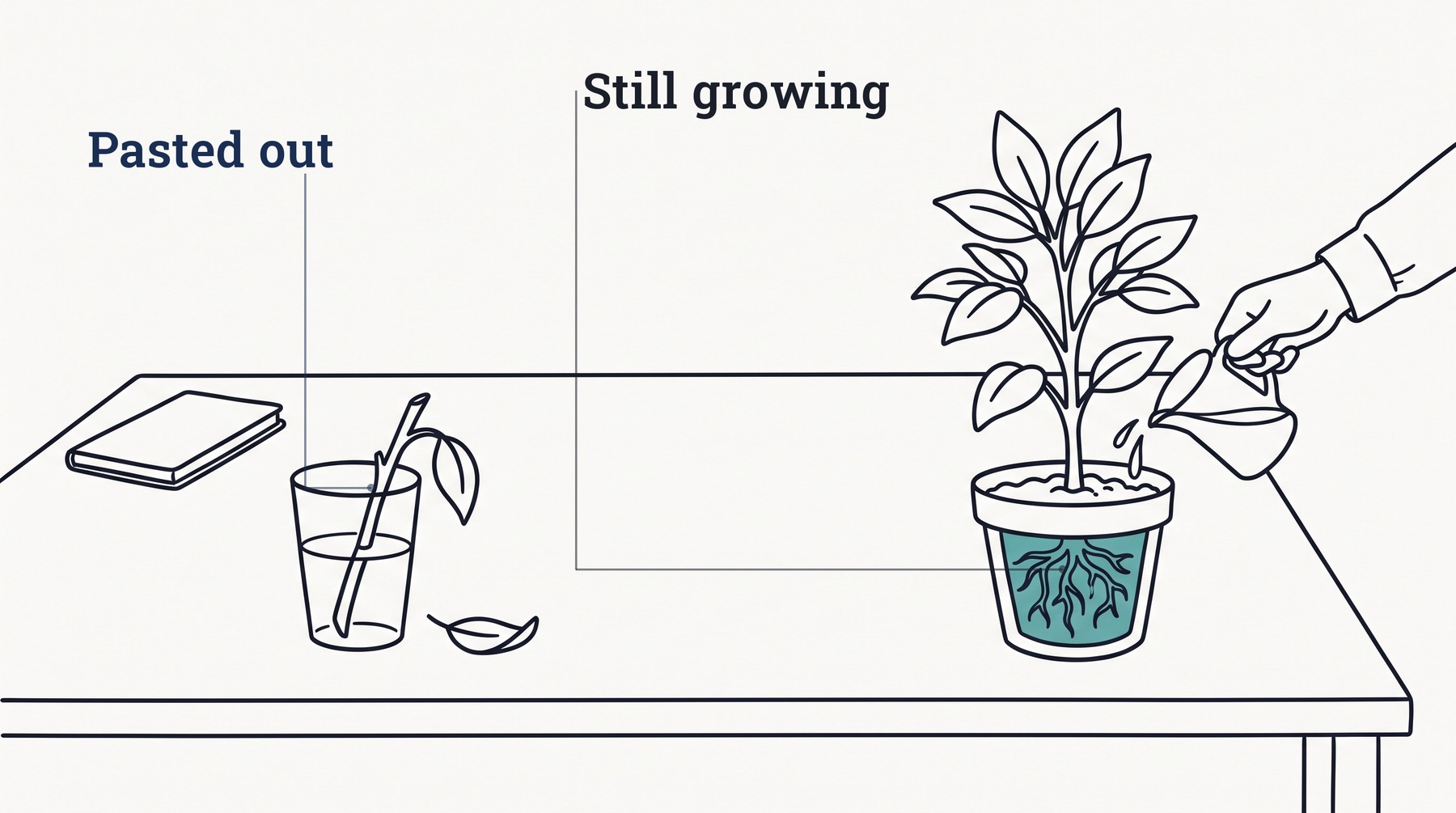 A cut stem standing in a glass of water beside the same plant rooted in a pot of soil, because an answer copied out of the conversation stops improving and one left in the panel keeps growing.